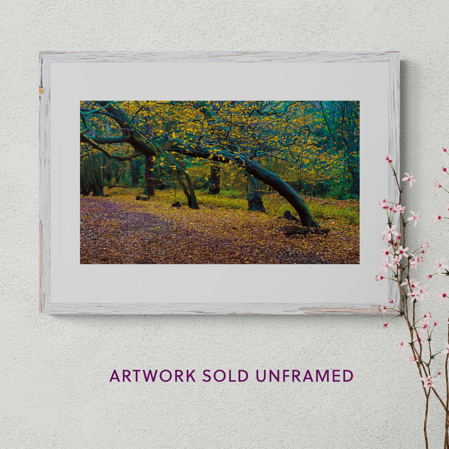 Golden Gateway | Limited Edition Fine Art Photograph 594x420mm