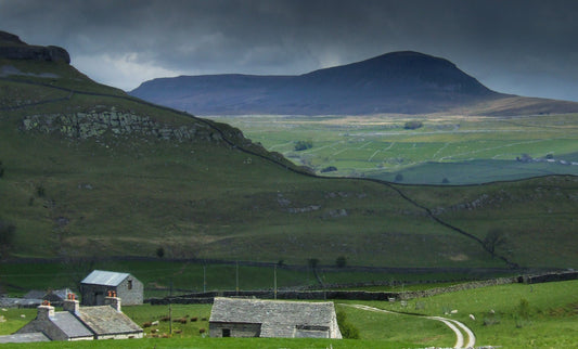 Where the Mind Wanders: How Walking Shapes My Work