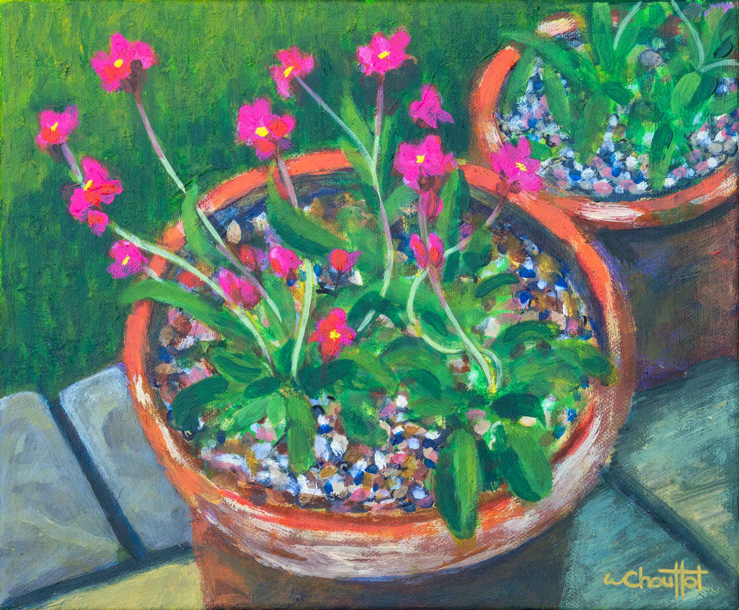 All Potted-Up | Acrylic on Stretched Canvas 302x250mm