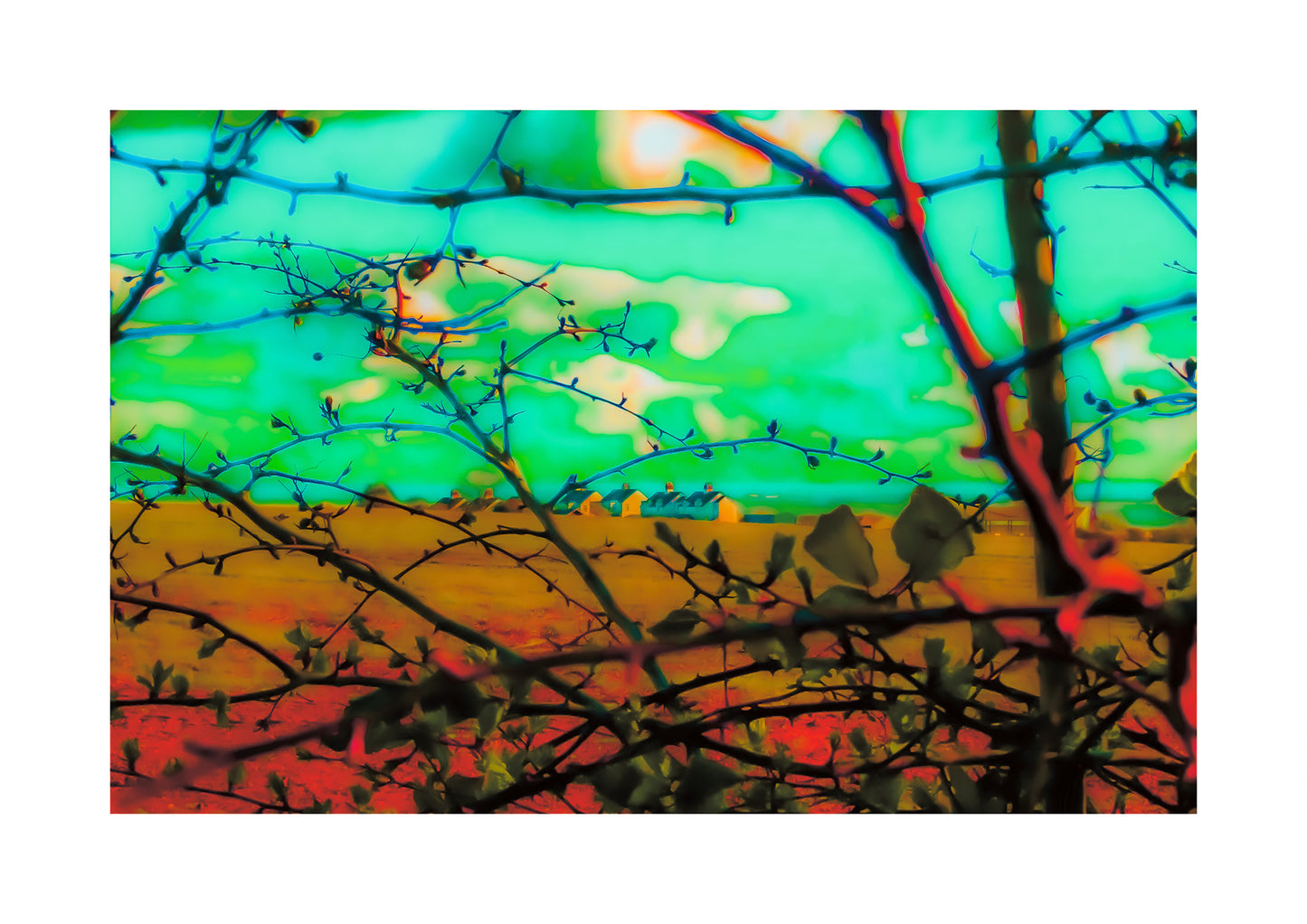 A striking contemporary fine art photograph capturing a countryside view through the tangled branches of a hawthorn tree. The foreground is dark and detailed, with sharp thorns and delicate budding leaves. Beyond, golden farmland stretches towards a row of farmhouses nestled under a sky infused with bold turquoise and fiery highlights. The vibrant colour treatment creates a dreamlike, surreal quality, blending realism with abstract energy. 
